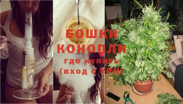 ешки Нефтекумск