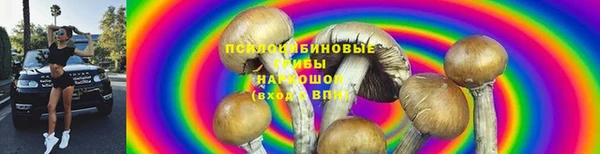не бодяженный Нефтегорск