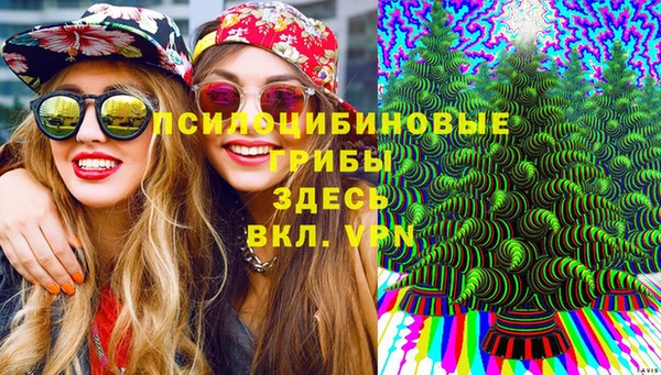 не бодяженный Нефтегорск