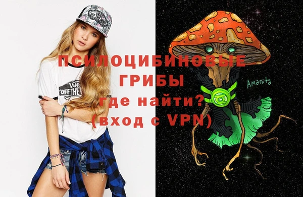 ешки Нефтекумск