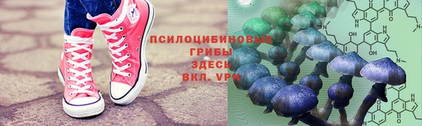 не бодяженный Нефтегорск